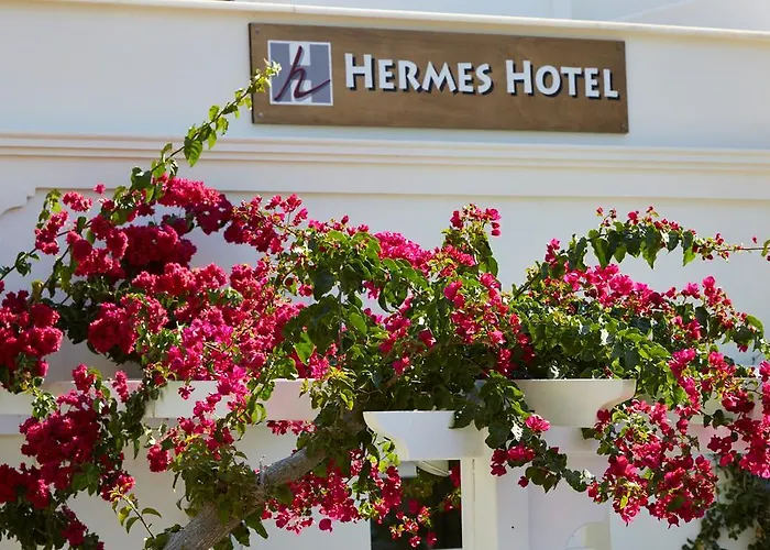 Hotel Hermes